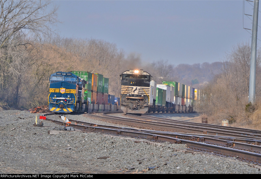 NS 24X
